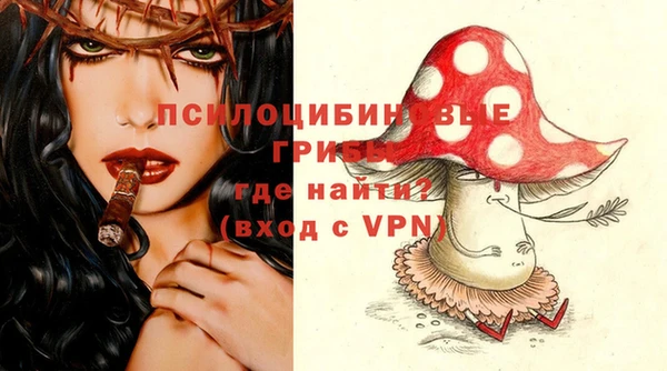 СК Абинск