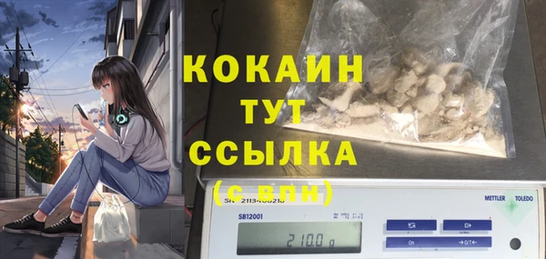 стаф Абаза