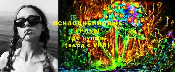 СК Абинск