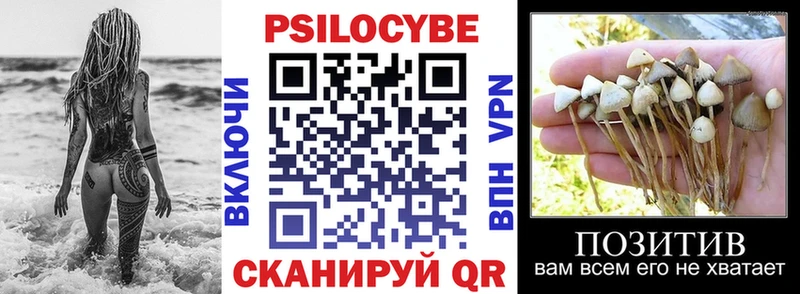 Псилоцибиновые грибы MAGIC MUSHROOMS  магазин продажи наркотиков  Торжок 