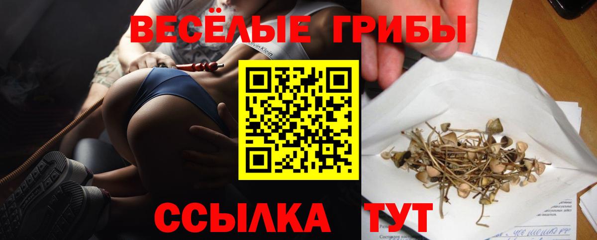 Галлюциногенные грибы мухоморы  Вход с VPN  Галлюциногенные грибы мицелий  Торжок 